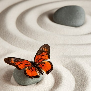 Science/Sonothérapie